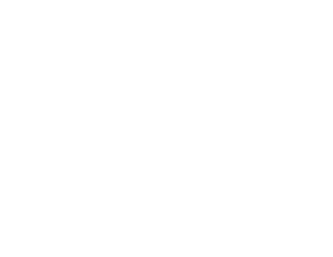 Electro Dépôt